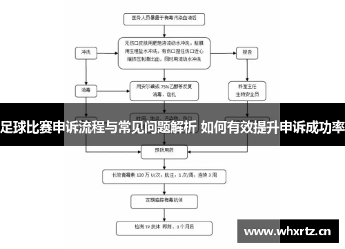 足球比赛申诉流程与常见问题解析 如何有效提升申诉成功率