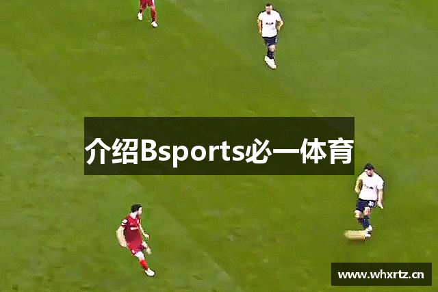 介绍Bsports必一体育